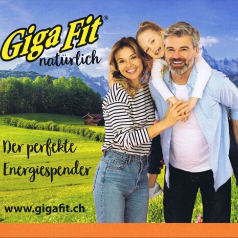 GigaFit Titelseite GigaFit Titelseite